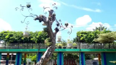 / / DESCRIPTION / / Beautiful blue sky with plants in garden footage / / WHATS INSIDE / / / Mp4 file 1920x1080 pxTeşekkürler