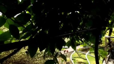 / / DESCRIPTION / / Beautiful view from about about the park / / / WHATS INSIDE / / / Mp4 file 1920x1080 pxTeşekkürler