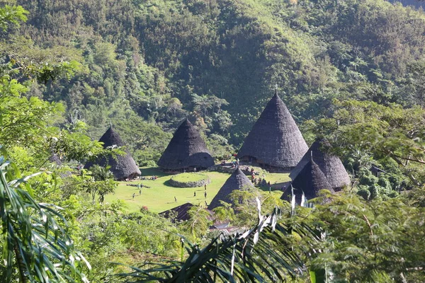 Waerebo Όμορφο Χωριό Μια Ζούγκλα Labuan Bajo Flores Island Στην — Φωτογραφία Αρχείου