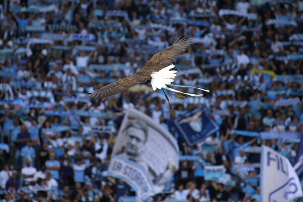 Рим, Италия 16.10.2022: Символ Лацио, орёл летит на стадионе перед матчем Серии А между SS Lazio и Udinese Calcio на стадионе Олимпико 16 октября 2022 года в Риме, Италия.