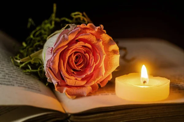 A Rose and book are aborbing the intensed light of Candle