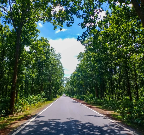 Beautiful road with green beauty
