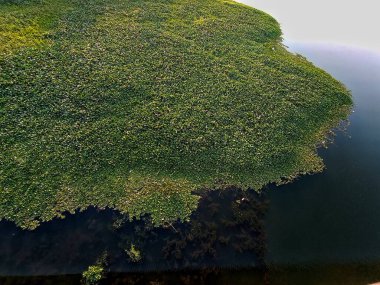 A great landscape with beauty