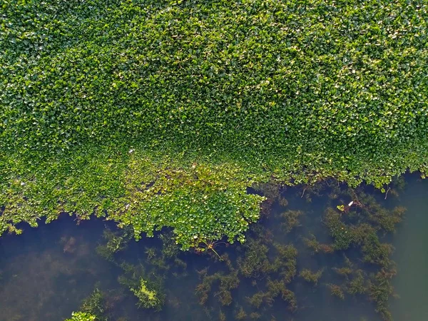 A wonderful beauty with waterbody