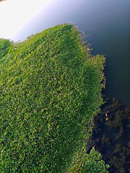 A wonderful beauty with waterbody