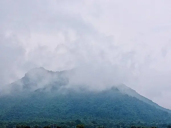 Excellent view of landscape and its beauty