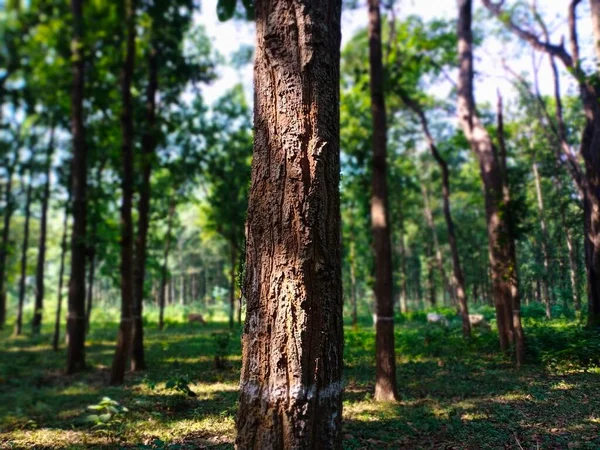Excellent view of landscape and its beauty