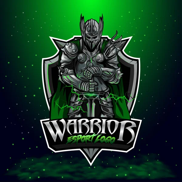 Modern Warrior Logo Template — Stok Vektör