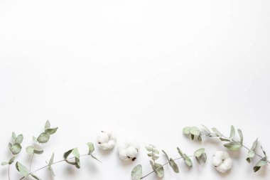 Okaliptüs yaprakları ve pamuklu çiçek deseni