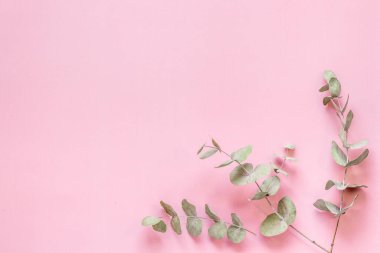 Okaliptüs yaprakları ve dallar düz yatıyordu.