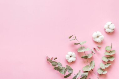 Okaliptüs yaprakları ve pamuk çiçekleri deseni düz yatıyordu.