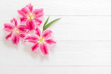 Pembe zambak çiçekleri, çiçek desenli arka plan