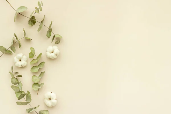 Hojas de eucalipto y patrón de flores de algodón, planas Imagen De Stock