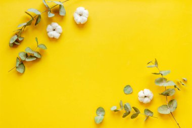 Okaliptüs yaprakları ve pamuklu yuvarlak çerçeve deseni