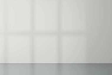 Blank wall that is lightless. Lighted wall that is empty.