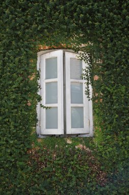 pencere ve duvar dokusu
