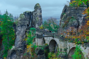 Saxon Switzerland Mountains With Beautiful Green Trees. High quality photo