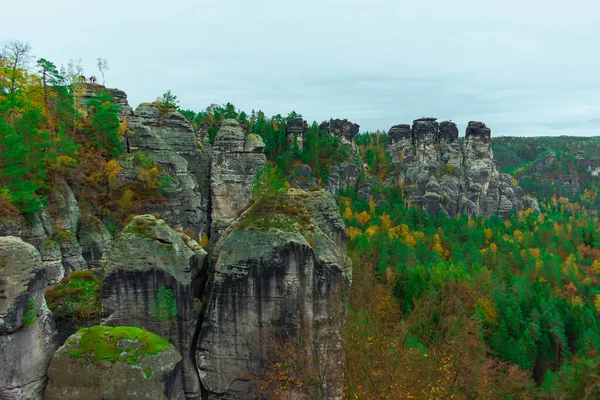 Saxon Switzerland Mountains Beautiful Green Trees High Quality Photo — Stok Foto