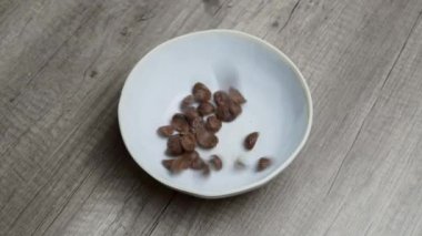  Cereal Milk, BREAKFAST Bowl Chocolate, nutrition snack food, Corn Fiber Healty. TOP DOWN SHOOT, High quality photo