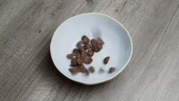 Cereal Milk Breakfast Bowl Chocolate Nutrition Snack Food Corn Fiber — Wideo stockowe