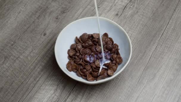 Cereal Milk Breakfast Bowl Chocolate Nutrition Snack Food Corn Fiber — Wideo stockowe