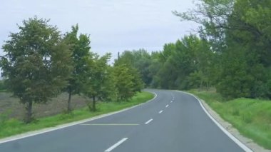 Doğada, şehrin dışında, yeşil ağaçlarla araba sürmek. Yüksek kalite 4k görüntü