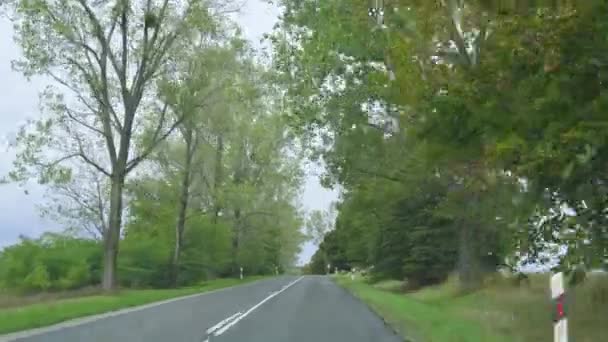 Conduite Voiture Sur Route Dans Une Nature Arbres Verts Images — Video