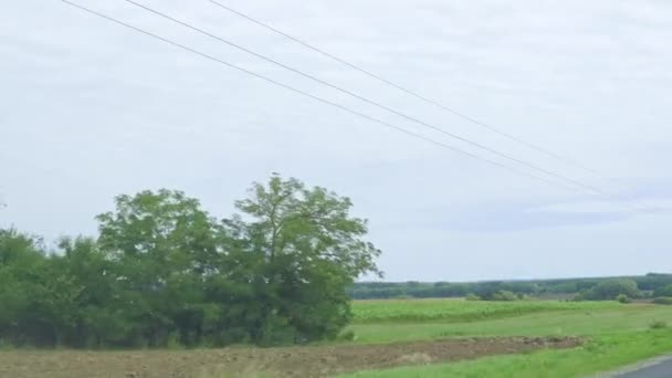 Bir Köyde Çıplak Arabayla Araba Kullanmak Yüksek Kalite Görüntü — Stok video