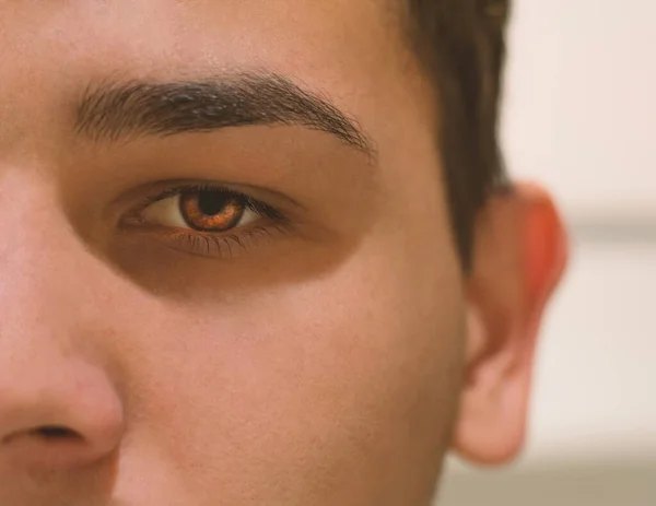 Hazel Eyes 'lı güzel çocuk, kapat. Yüksek kalite fotoğraf