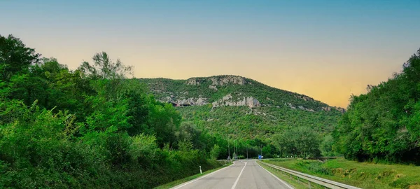 Ormanın ortasında, gün batımından sonra. Yüksek kalite fotoğraf