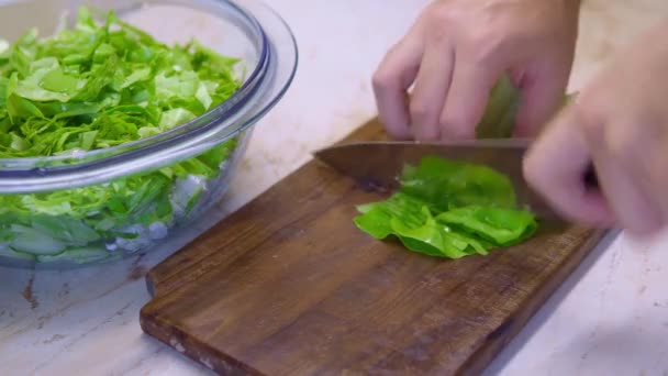 Šéfkuchař Seká Salát Kuchyni Vysoce Kvalitní Záběry — Stock video