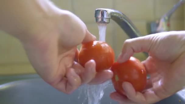 Washing Fresh Tomatoes Kitchen Close Shoot High Quality Footage — Stock Video