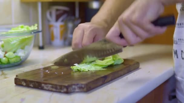 부엌에서 상추를 요리사 고품질 — 비디오