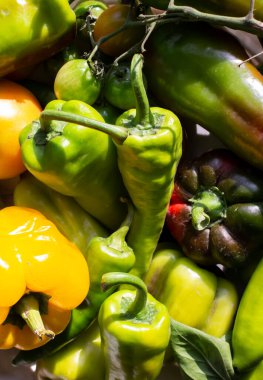 Dolmalık biber. Bir sürü çiğ sebze. yeşil biber