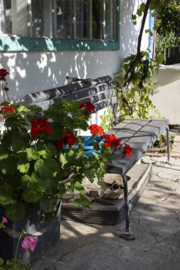 Avlu tasarımı ilham verici. bir bank ile peyzaj tasarımı