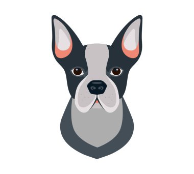 Köpek kafası ikonu. Çizgi film köpeği suratı. Vektör illüstrasyonu beyaza izole edildi. Köpek kafası..