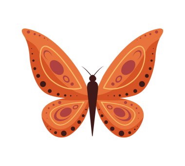 Beyaz arka planda izole edilmiş karikatür kelebeklerinin vektör çizimi. Soyut kelebekler, renkli uçan böcekler..