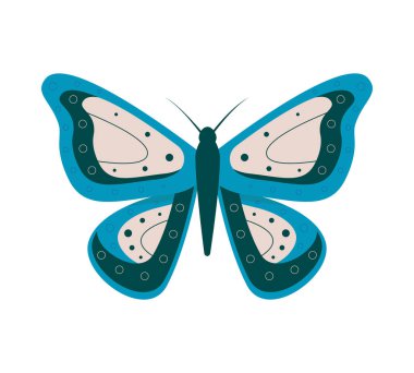 Beyaz arka planda izole edilmiş karikatür kelebeklerinin vektör çizimi. Soyut kelebekler, renkli uçan böcekler..