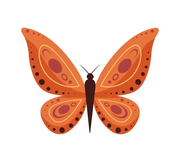 Ilustración vectorial de mariposas de dibujos animados aisladas sobre fondo blanco. Mariposas abstractas, coloridos insectos voladores. — Vector de stock