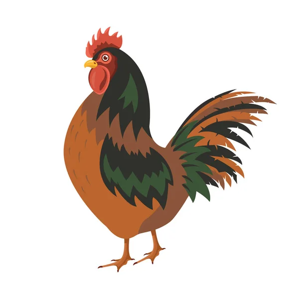 Pájaro de pollo, ilustración vector clip de aves de corral. pollos domésticos sobre fondo blanco. Chica de dibujos animados aislado. — Archivo Imágenes Vectoriales