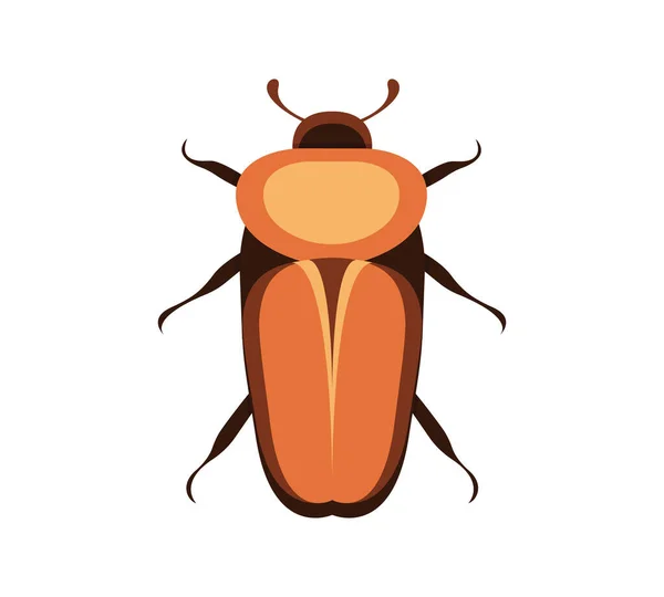 白い背景に隔離されたウェブデザインのためのバグベクトルアイコン。漫画風に設定された虫と昆虫. — ストックベクタ