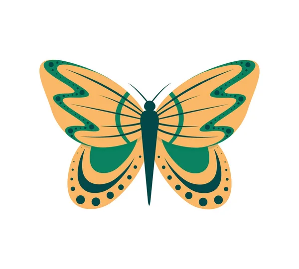 하얀 배경에는 만화 나비에 대한 벡터 그림 이 있다. 화려 한 나비, 화려 한 날아다니는 곤충. — 스톡 벡터