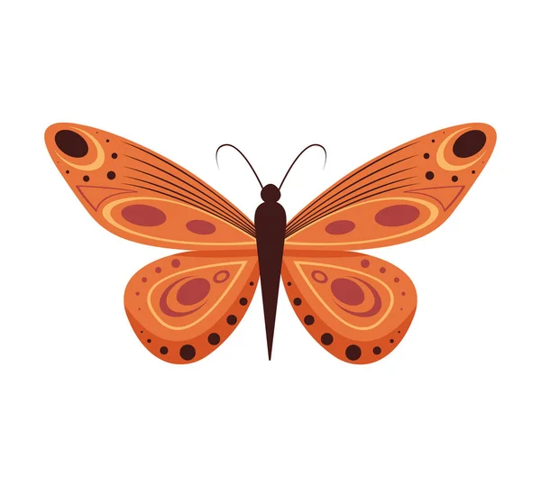 Ilustración vectorial de mariposas de dibujos animados aisladas sobre fondo blanco. Mariposas abstractas, coloridos insectos voladores. — Vector de stock