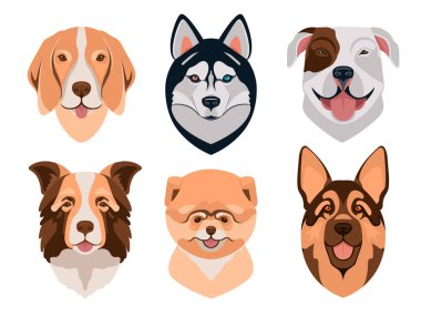 Köpek farklı ikonlar üretir. Çizgi film köpek yüzleri. Vektör illüstrasyonu beyaza izole edildi. Köpekçik farklı kafaları besler.