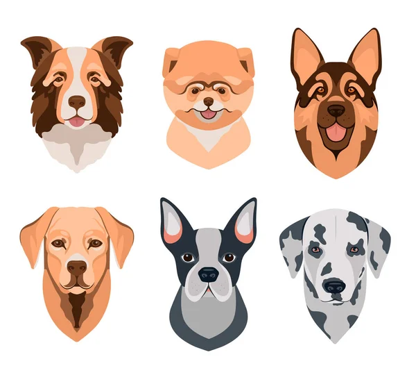 Pes různých plemen hlavy ikony. Kreslený psí ksichty nastaveny. Vektorová ilustrace izolovaná na bílém. Pes různých plemen hlav. — Stockový vektor