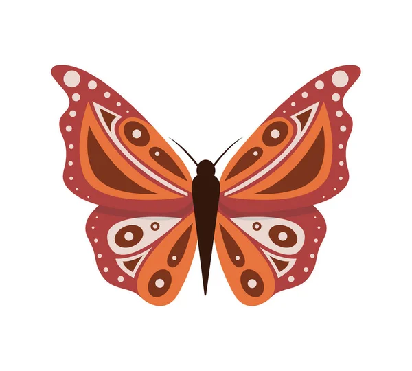 在白色背景下孤立的卡通蝴蝶的矢量图解。蝴蝶，五彩斑斓的昆虫. — 图库矢量图片