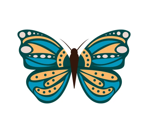 Ilustración vectorial de mariposas de dibujos animados aisladas sobre fondo blanco. Mariposas abstractas, coloridos insectos voladores. — Vector de stock