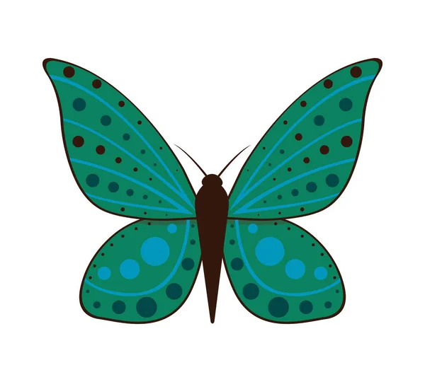 Vektor-Illustration von Cartoon-Schmetterlingen isoliert auf weißem Hintergrund. Abstrakte Schmetterlinge, bunte fliegende Insekten. — Stockvektor