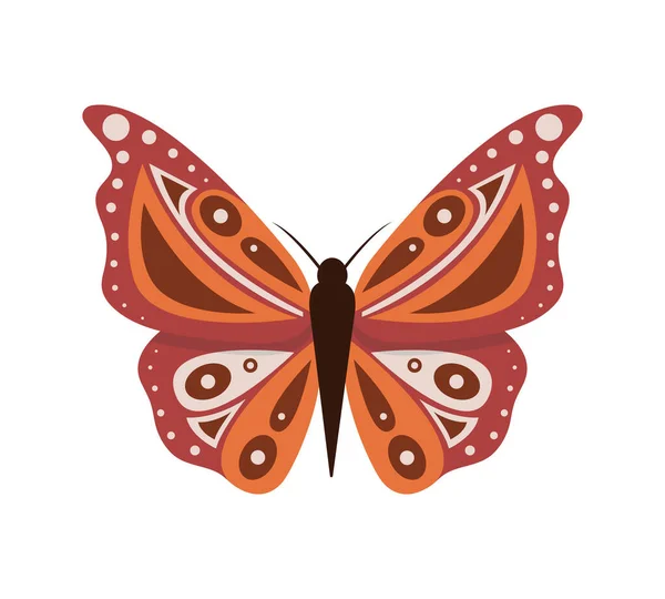 Ilustración vectorial de mariposas de dibujos animados aisladas sobre fondo blanco. Mariposas abstractas, coloridos insectos voladores. Gráficos Vectoriales