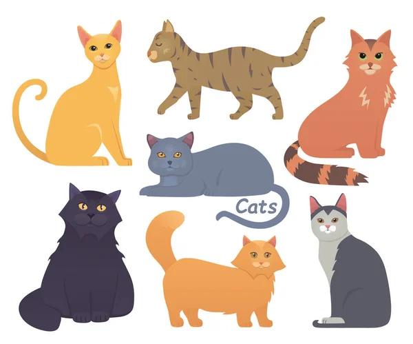 Cute Cats Vector Set Cartoon Cat Kitten Characters Collection Different — Vetor de Stock